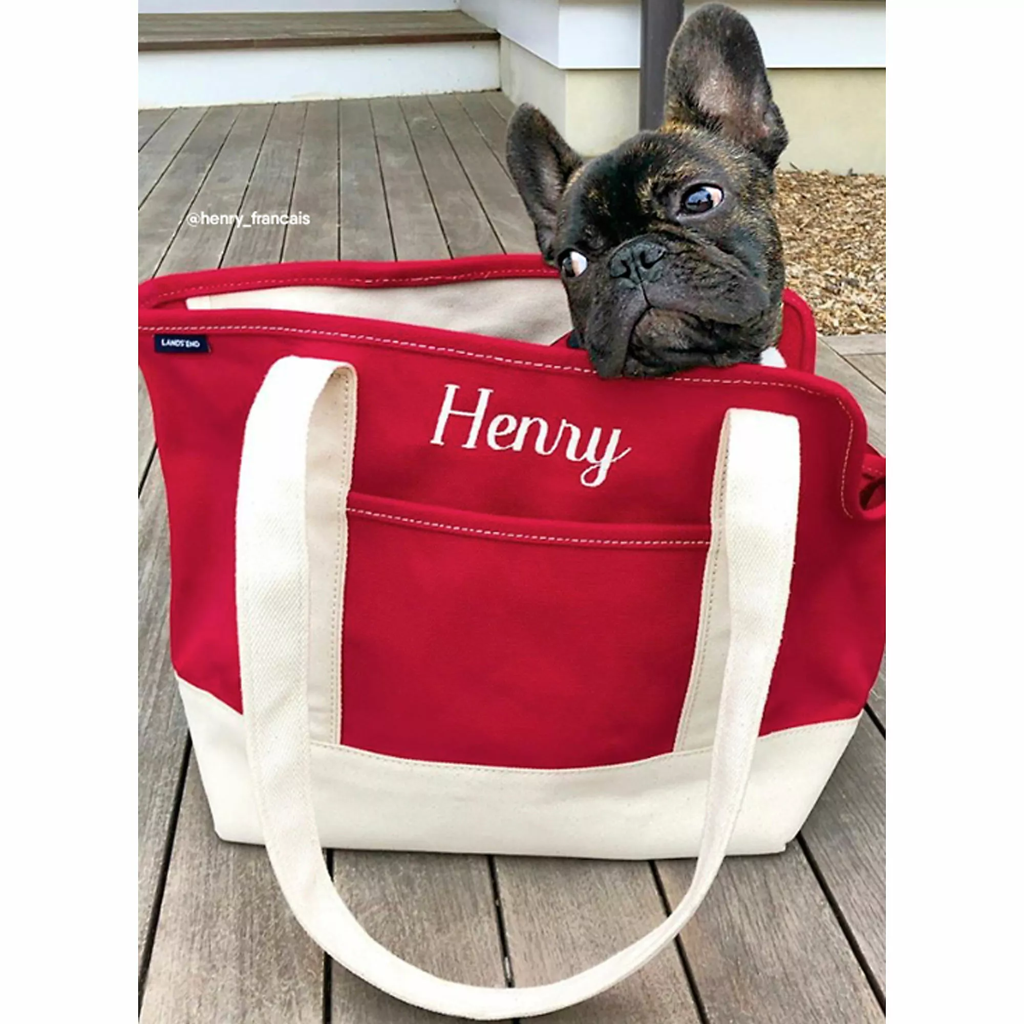 Lands' End Canvas Tote Pet Carrier - Image 3