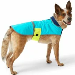 Lands' End Dog Solid Squall Jacket