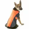 Lands' End Reflective Dog Vest