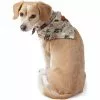 Blake Shelton X Lands' End Dog Bandana