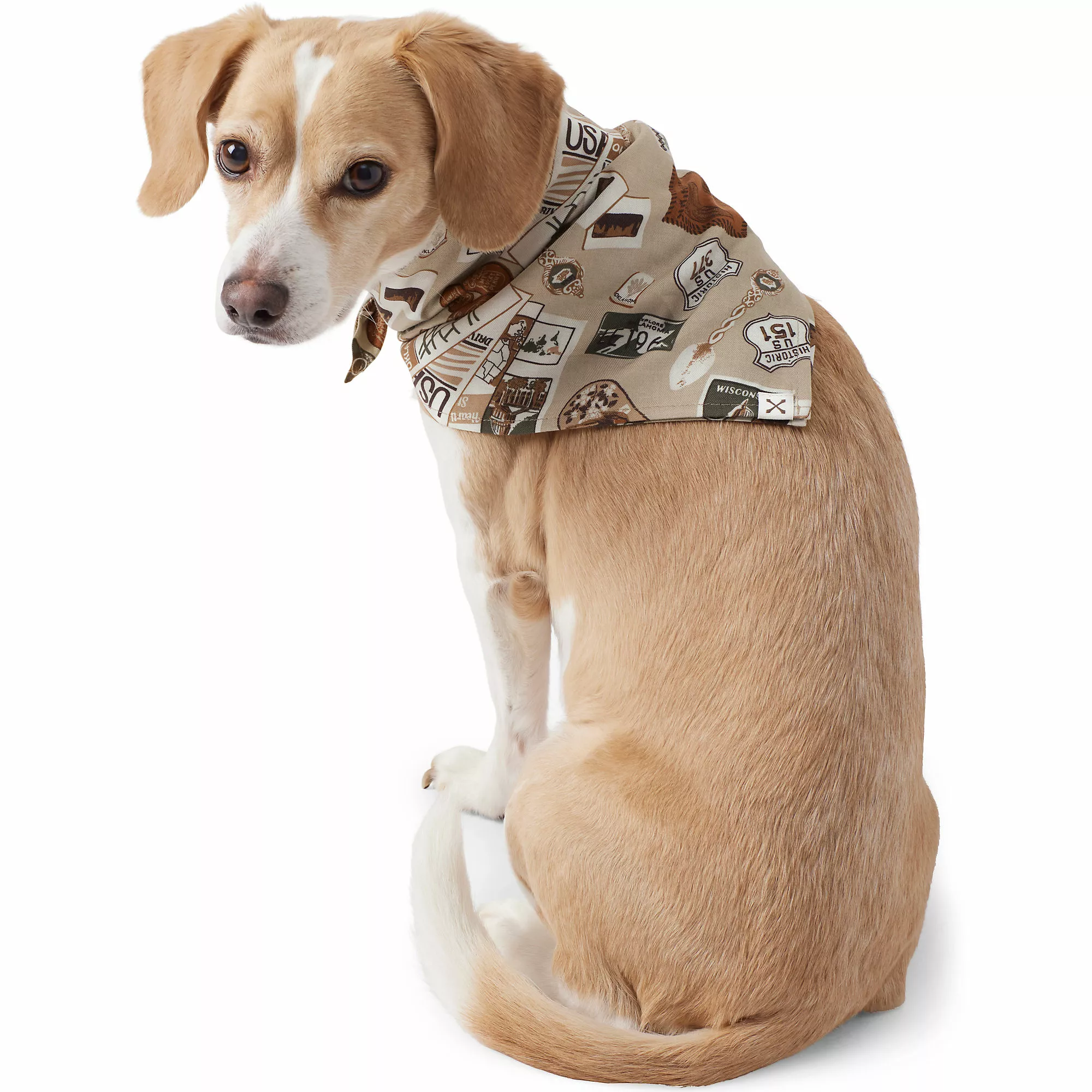 Blake Shelton X Lands' End Dog Bandana