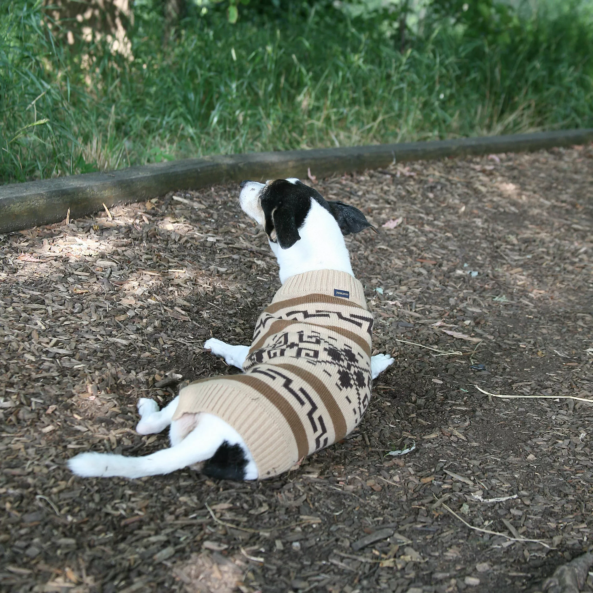 Carolina Pet Company Pendleton Classics Dog Sweater - Image 7