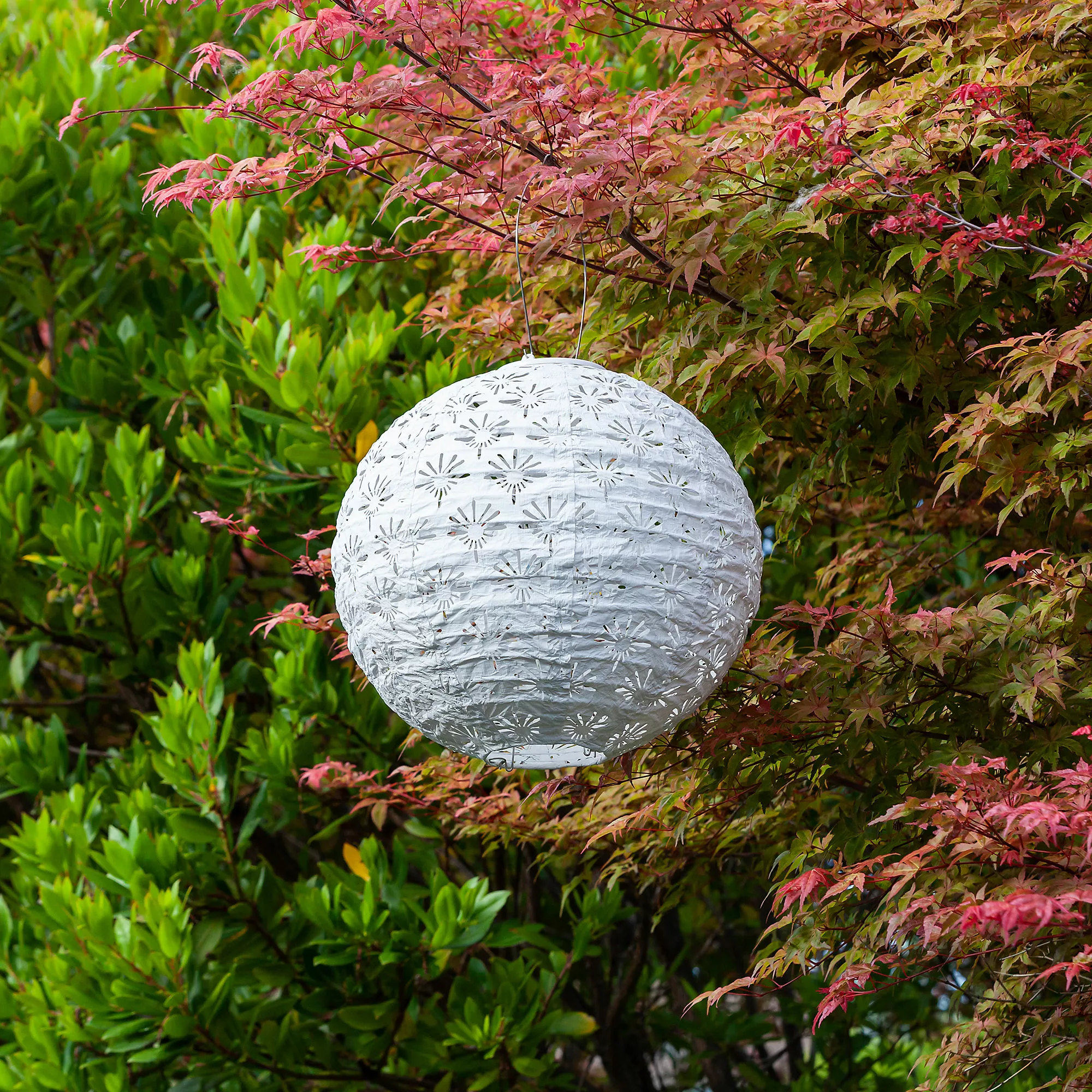 Allsop Home & Garden Allsop Home And Garden Outdoor Solar Soji Stella Deco 12 Inch Globe Lantern - Image 2